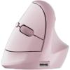 imageDAREU Ergonomic Vertical Wireless Mouse24GHz  BT Optical Vertical Mice with Ergo Design for Comfort and Reduced Wrist Strain3 MultiDevice Connectivity for ComputerPCLaptop Suit for Small HandPink