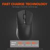 imageDAREU A950GM Wireless Gaming Mouse 60g Lightweight 26K DPI PAW3395 Optical Sensor 24GBTWiredSupport 3040min Fast Charge 5 Programmable Buttons for PCLaptopMacBlack