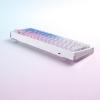 imageDAREU COOL68 60 Sakura Pink Wired Gaming Keyboard Rapid Trigger Magnetic Switch Keyboard with 8000Hz Polling Rate Adjustable Actuation 01ms Latency SOCD Gasket Mount Hot swappable RGB LightAurora