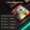 image:imageDAREU FLEX75 Wireless Mechanical Keyboard75 Hot Swappable Custom Gaming Keyboard with KnobGasket MountRGB BacklitPBT Keycaps3Mode BT24GUSBC for Office amp GamersWhite