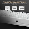 image:imageDAREU FLEX75 Wireless Mechanical Keyboard75 Hot Swappable Custom Gaming Keyboard with KnobGasket MountRGB BacklitPBT Keycaps3Mode BT24GUSBC for Office amp GamersWhite