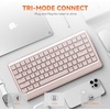 image:imageDAREU Low Profile Keyboard84 Keys Mac KeyboardProgrammable Keys Keyboards Hot Swappable Wireless Computer Keyboard RGB Backlit Gasket Mounted Support Bt  24GHz  USBC for Windows Macpink