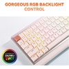 image:imageDAREU Low Profile Keyboard84 Keys Mac KeyboardProgrammable Keys Keyboards Hot Swappable Wireless Computer Keyboard RGB Backlit Gasket Mounted Support Bt  24GHz  USBC for Windows Macoff white