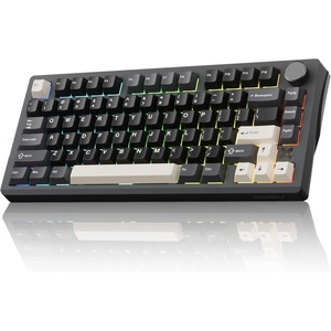 image:imageDAREU FLEX75 Wireless Mechanical Keyboard75 Hot Swappable Custom Gaming Keyboard with KnobGasket MountRGB BacklitPBT Keycaps3Mode BT24GUSBC for Office amp GamersBlackGrey